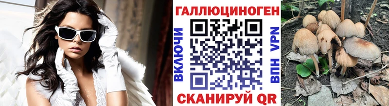 где продают наркотики  Воткинск  Псилоцибиновые грибы Magic Shrooms 